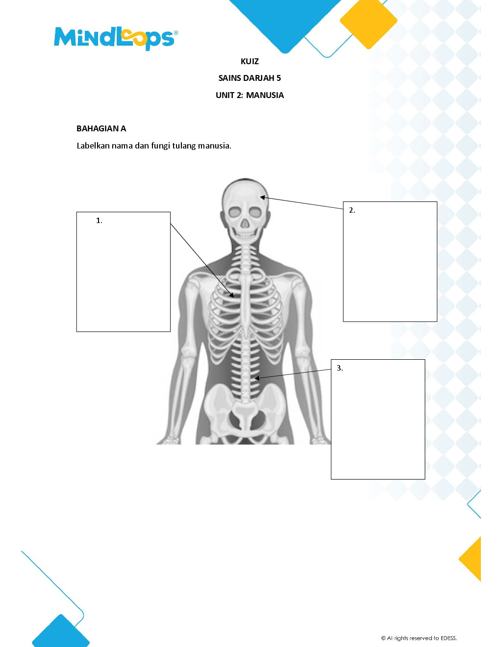 Unit 2 - Manusia