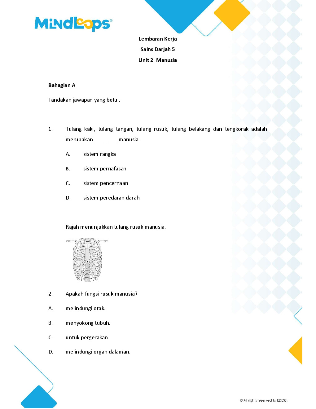 Unit 2 - Manusia