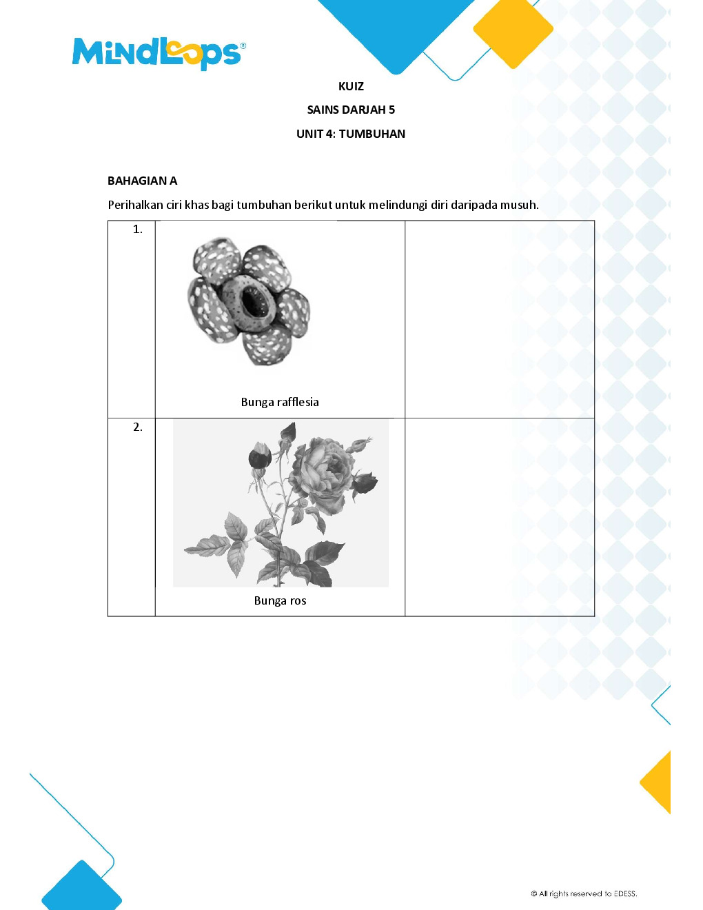 Unit 4 - Tumbuh-tumbuhan