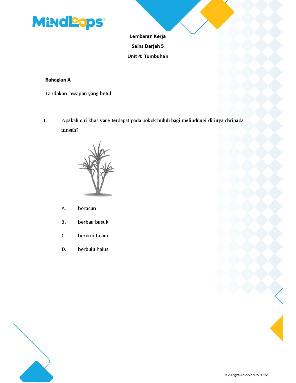 Unit 4 - Tumbuh-tumbuhan
