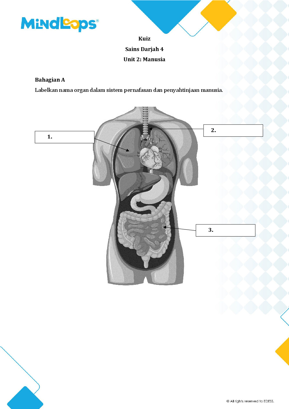 Unit 2 - Manusia