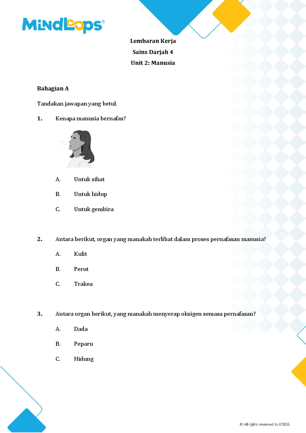 Unit 2 - Manusia
