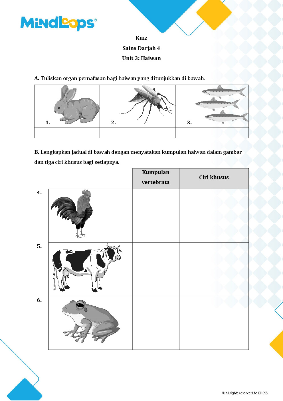Unit 3 - Haiwan