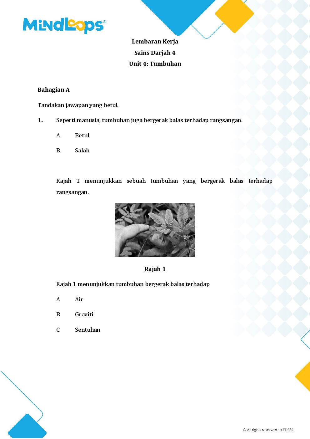 Unit 4 - Tumbuh-tumbuhan