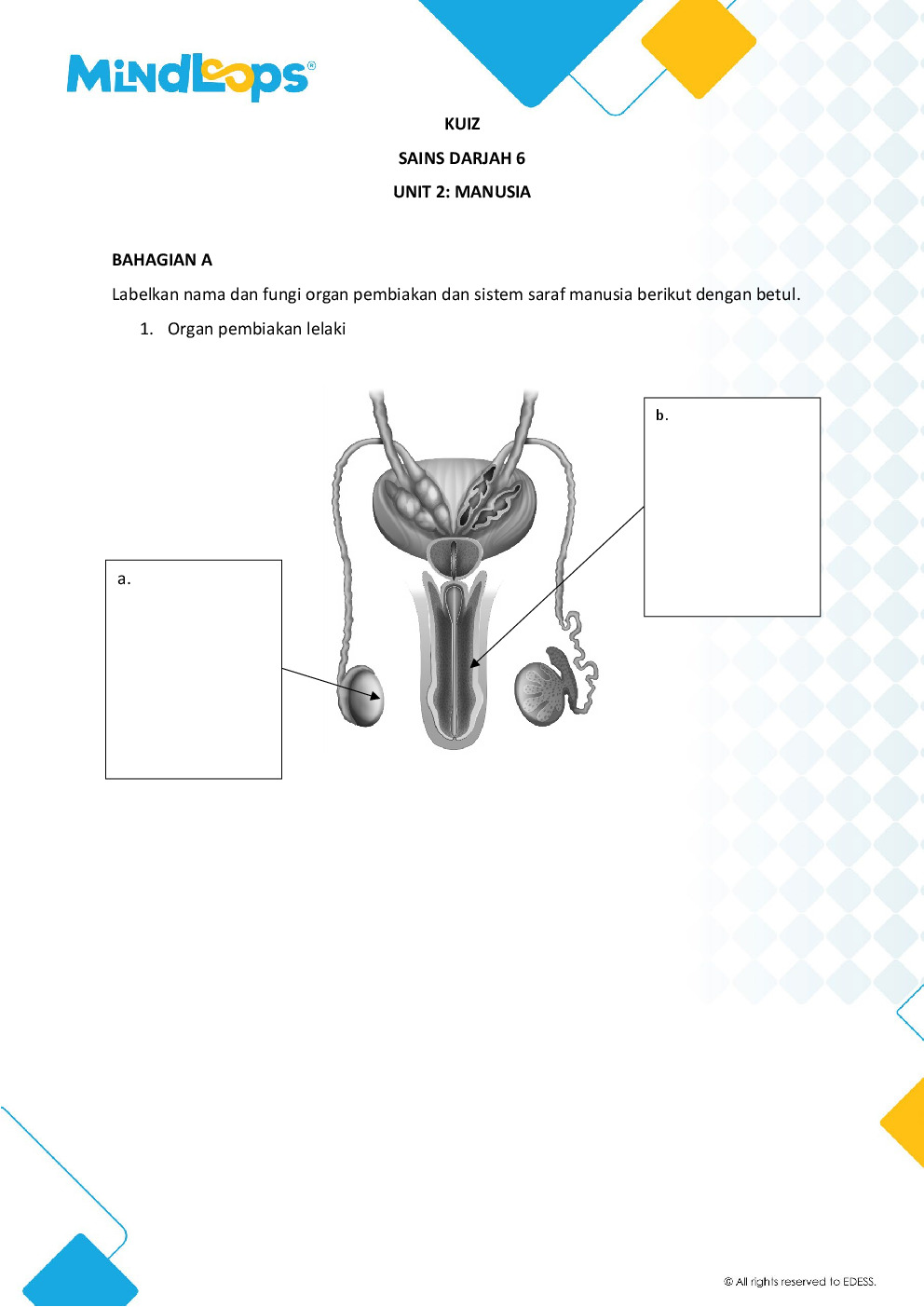 Unit 2 - Manusia