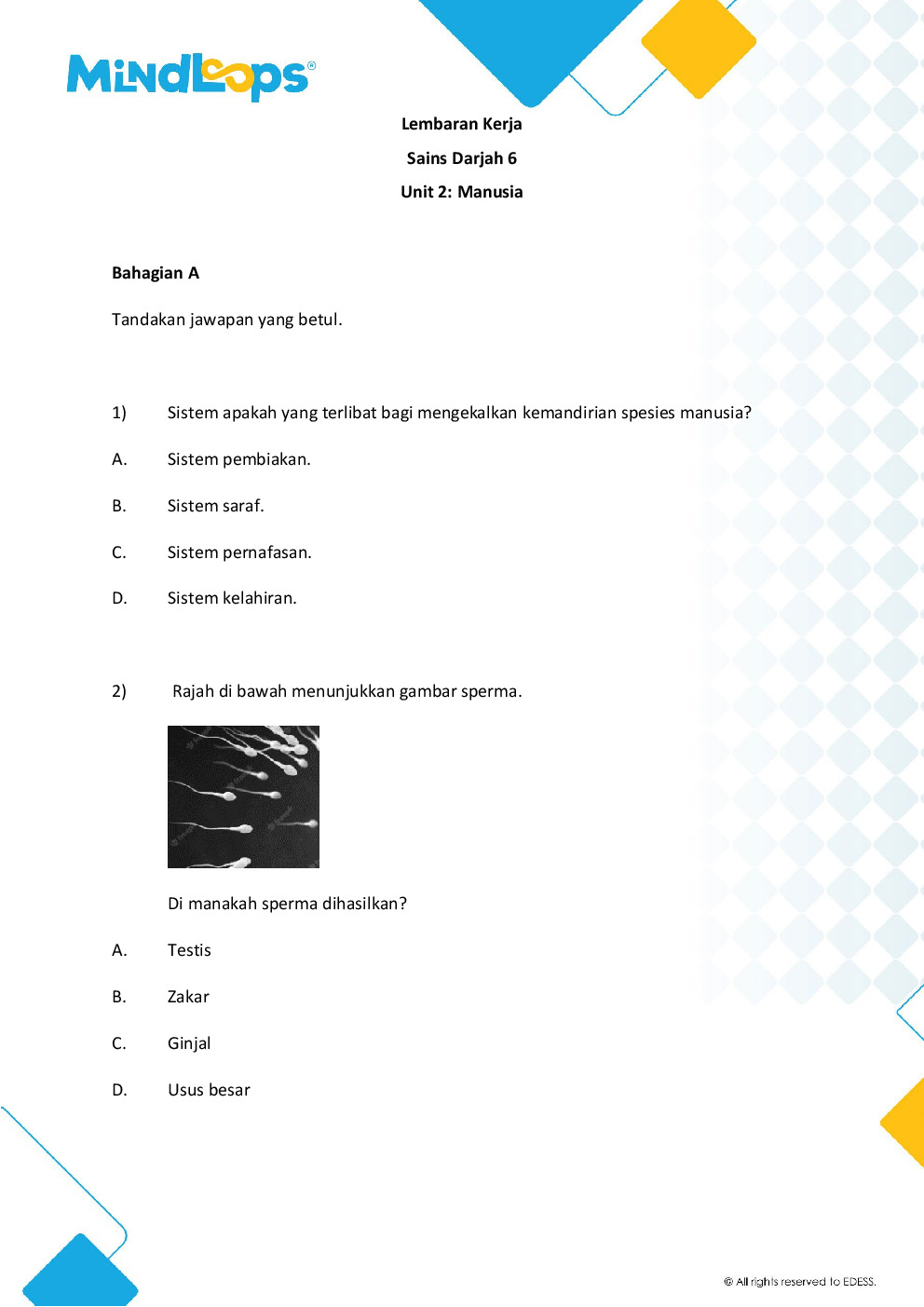 Unit 2 - Manusia