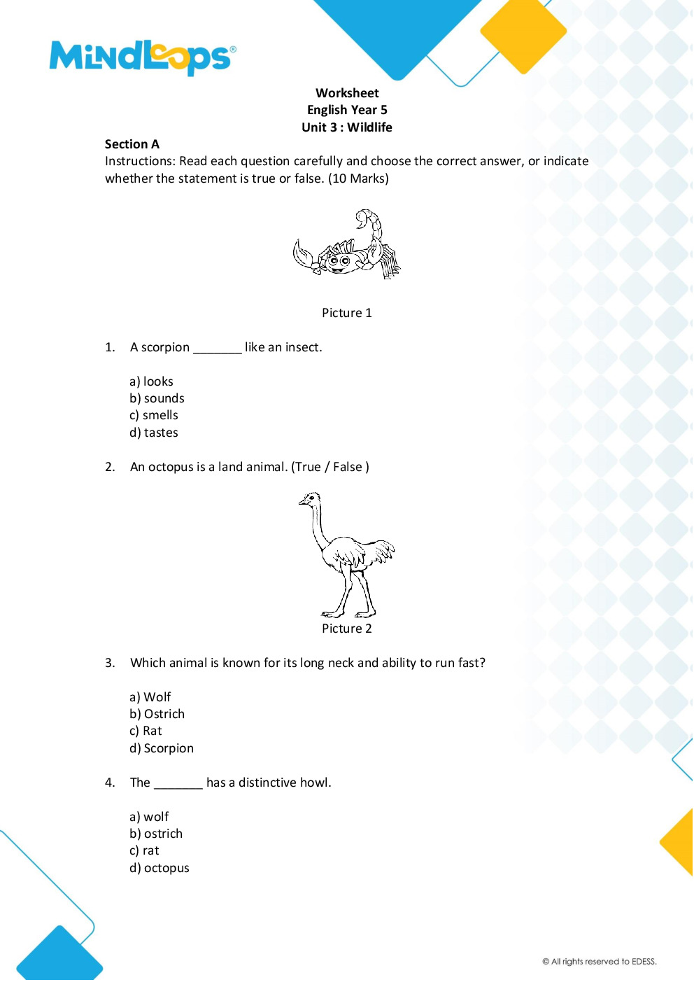 Unit 3 - Wild Life