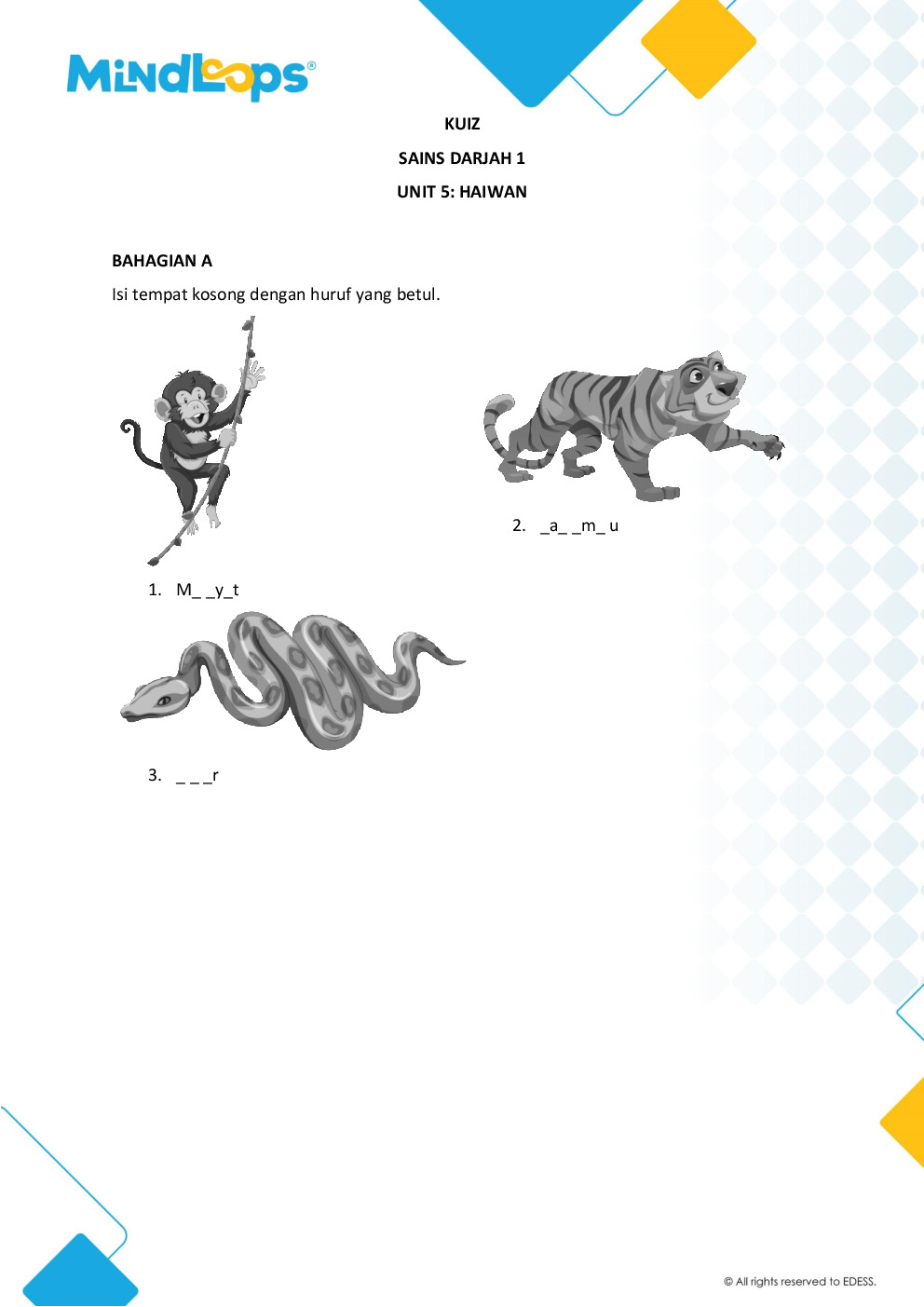 Unit 5 - Haiwan