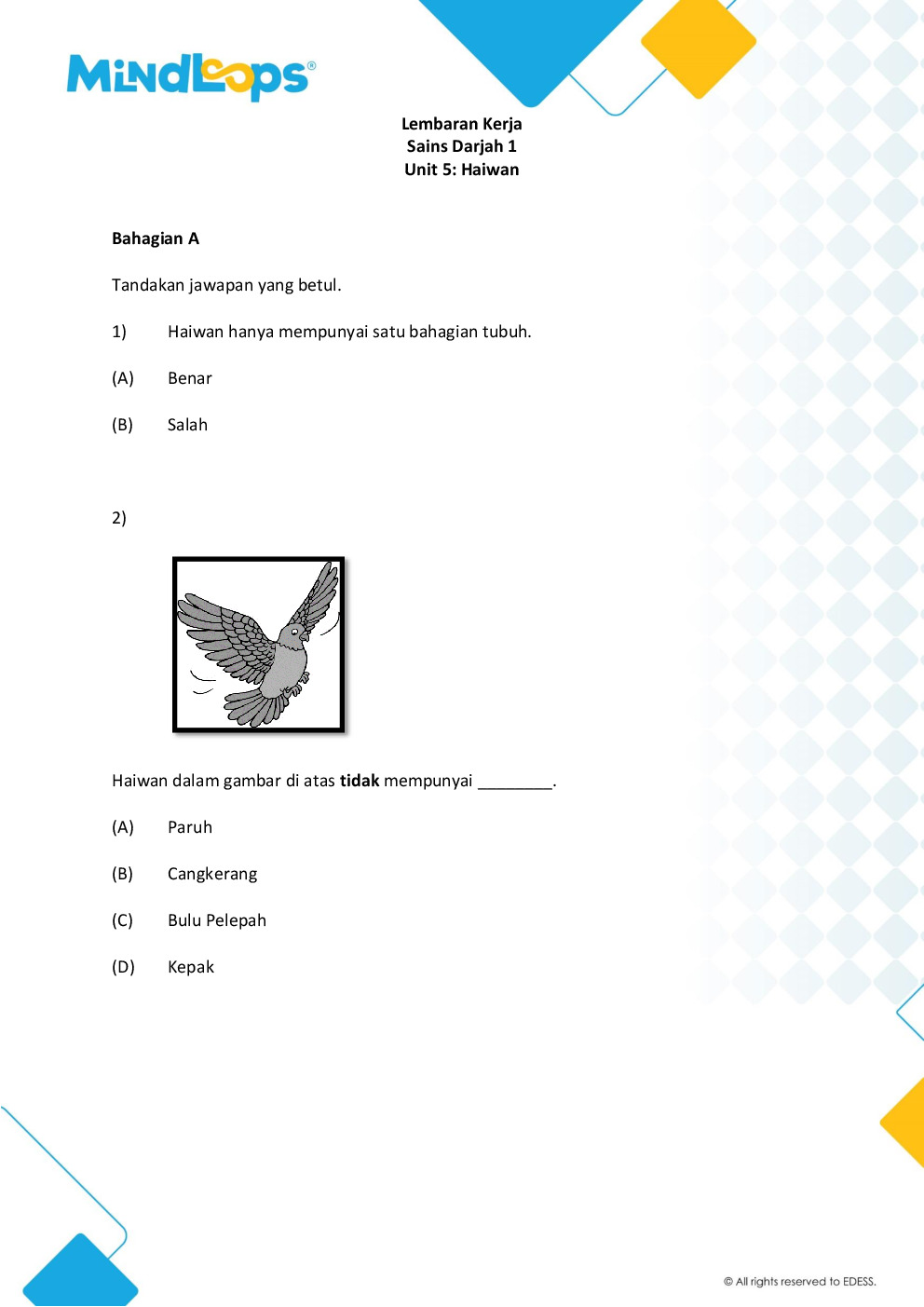 Unit 5 - Haiwan