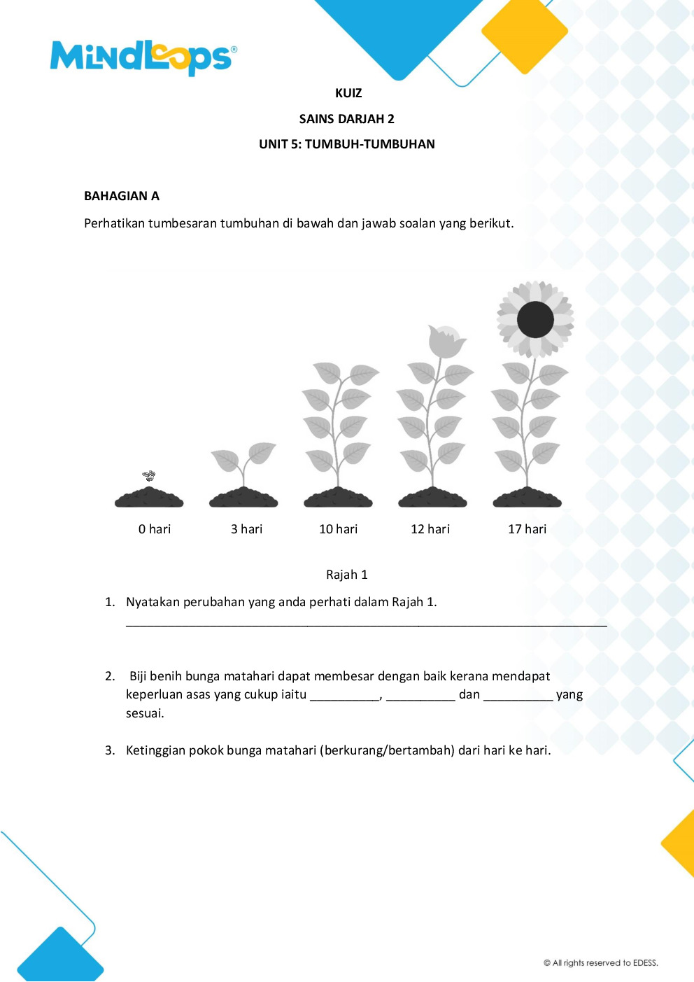 Unit 5 - Tumbuh-tumbuhan