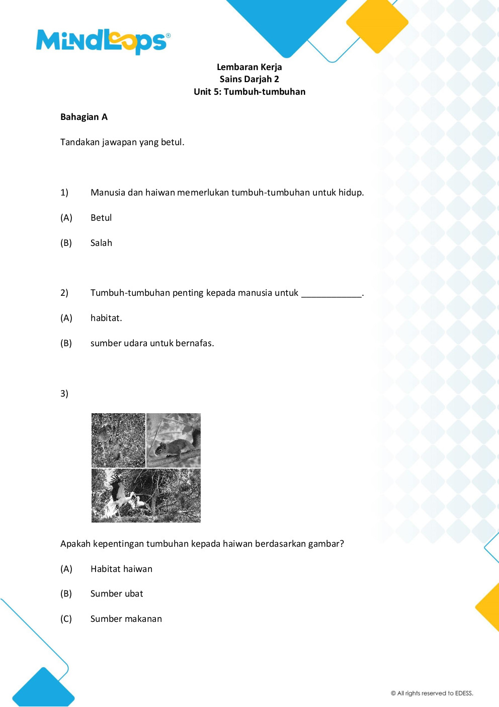 Unit 5 - Tumbuh-tumbuhan
