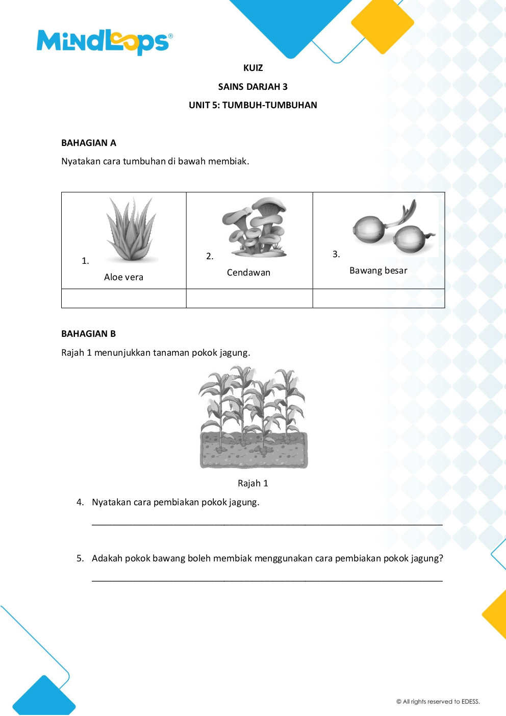 Unit 5 - Tumbuh-tumbuhan