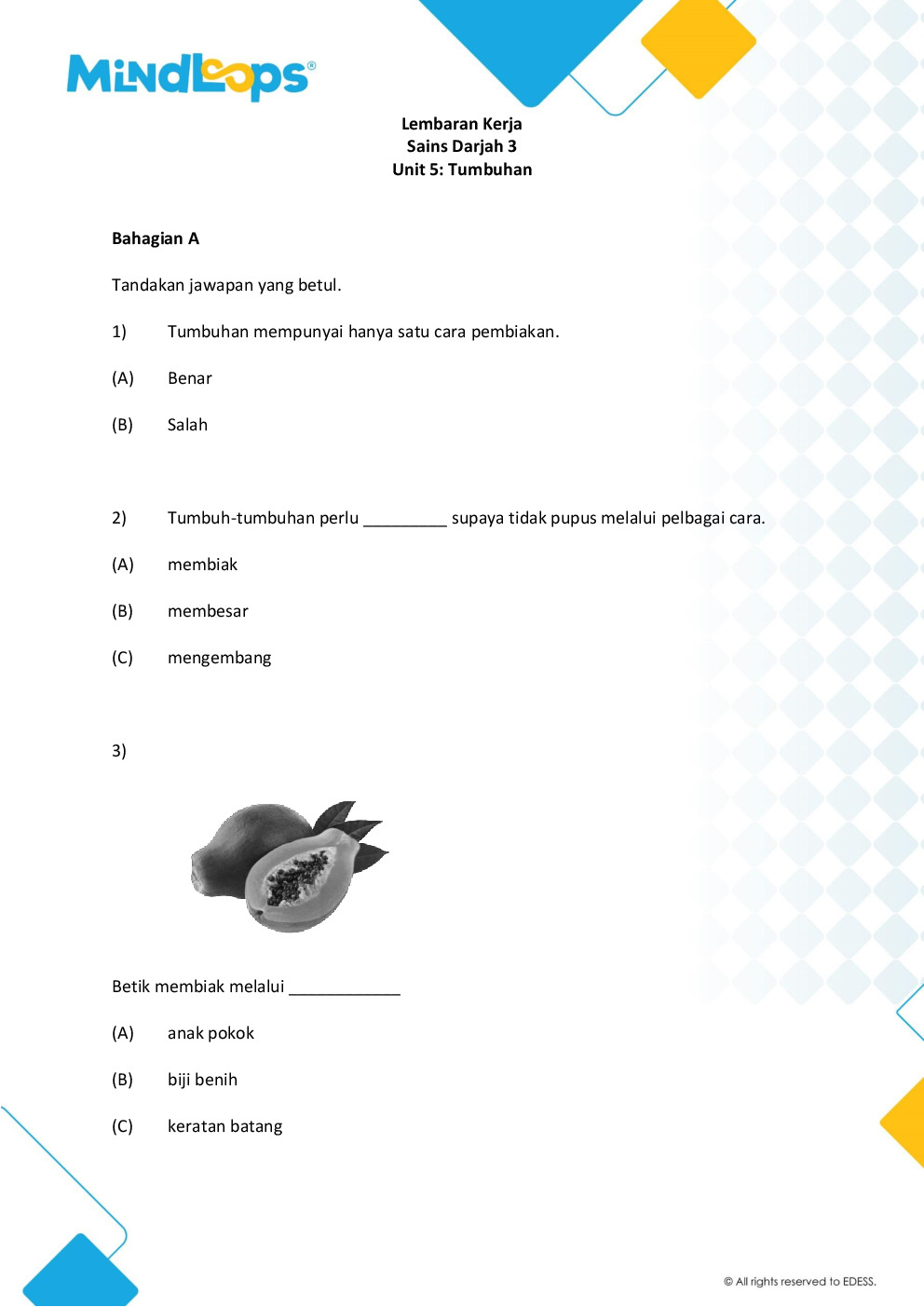 Unit 5 - Tumbuh-tumbuhan