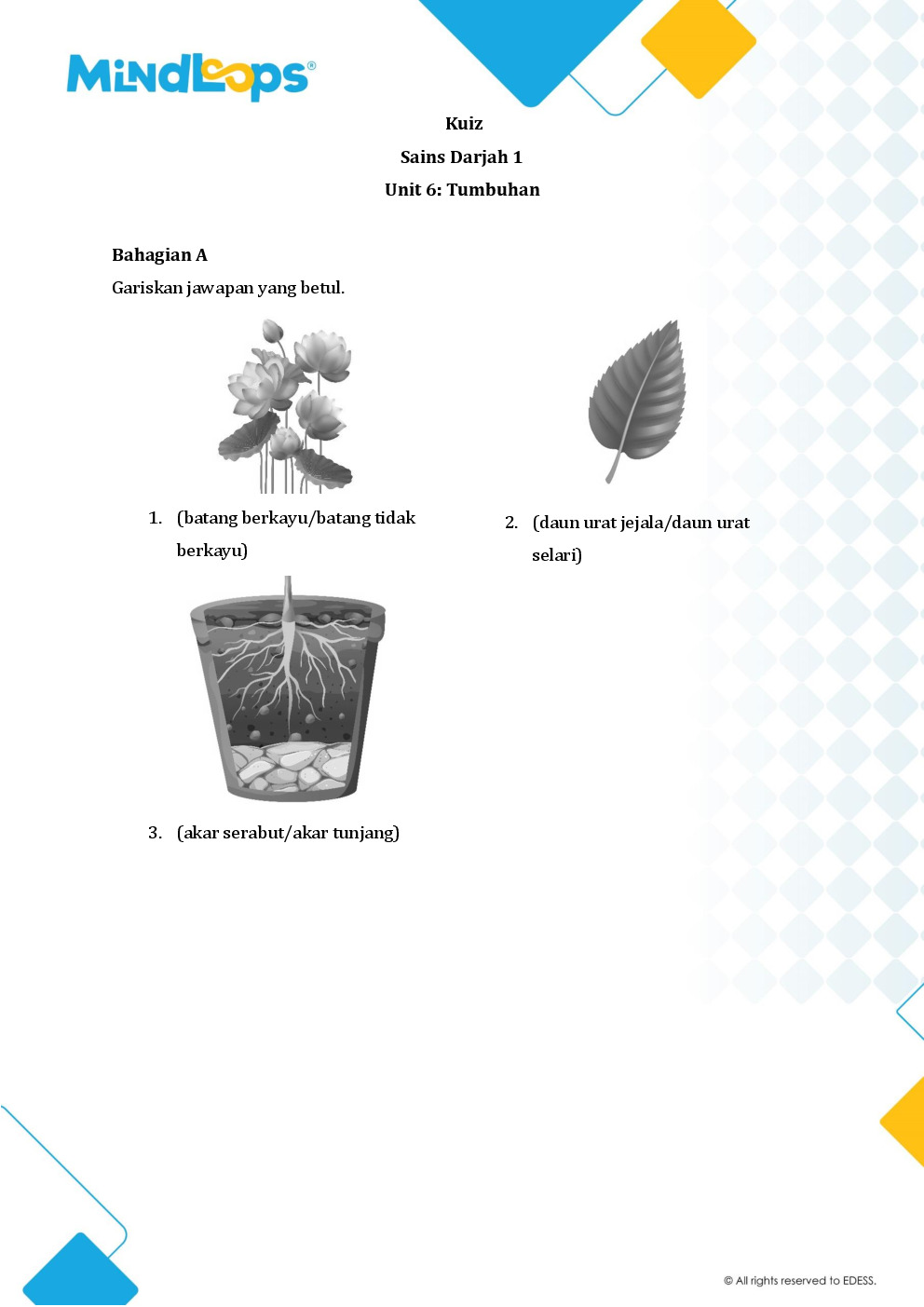 Unit 6 - Tumbuhan
