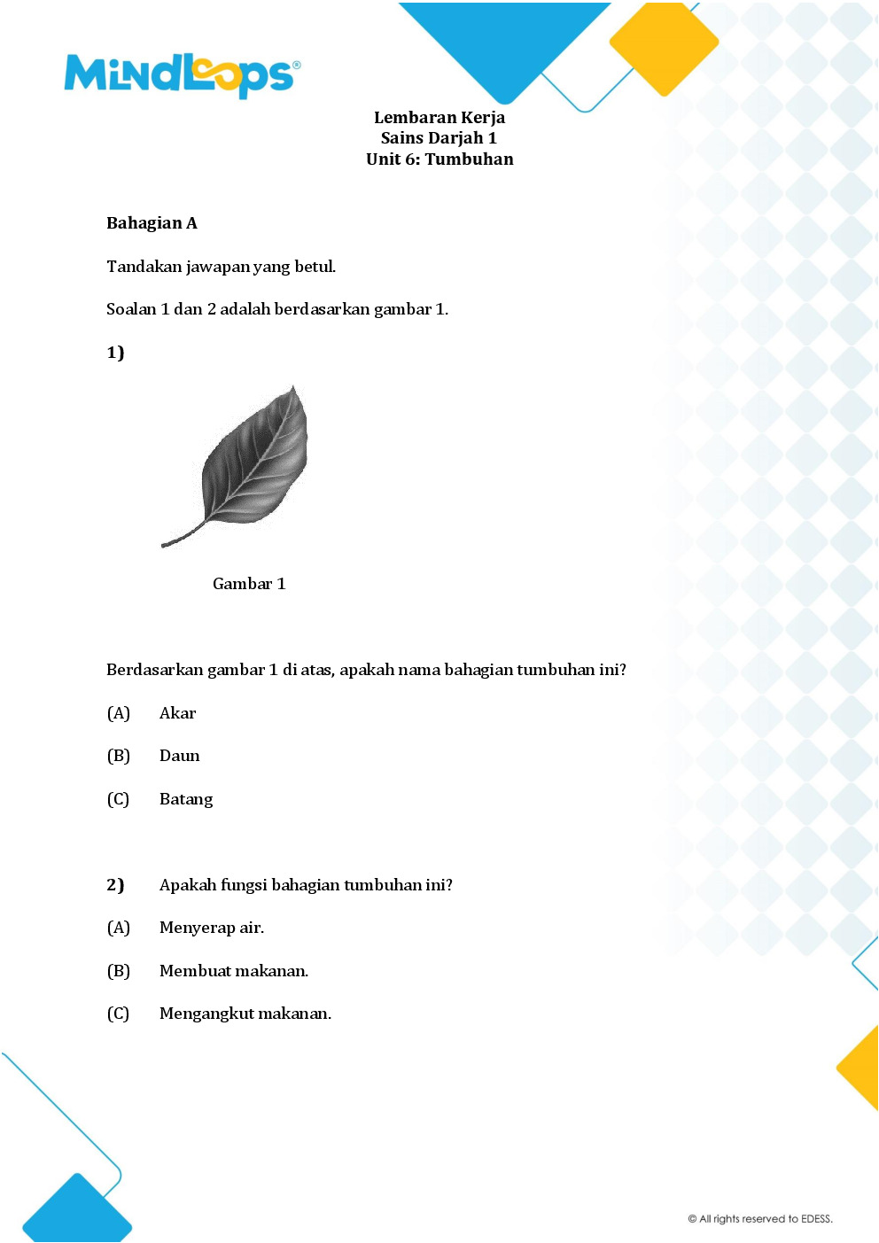 Unit 6 - Tumbuhan